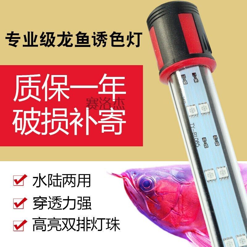 龍魚增色燈和發(fā)色燈的區(qū)別：龍魚增色燈和發(fā)色燈有什么不同，龍魚增色燈和發(fā)色燈的區(qū)別
