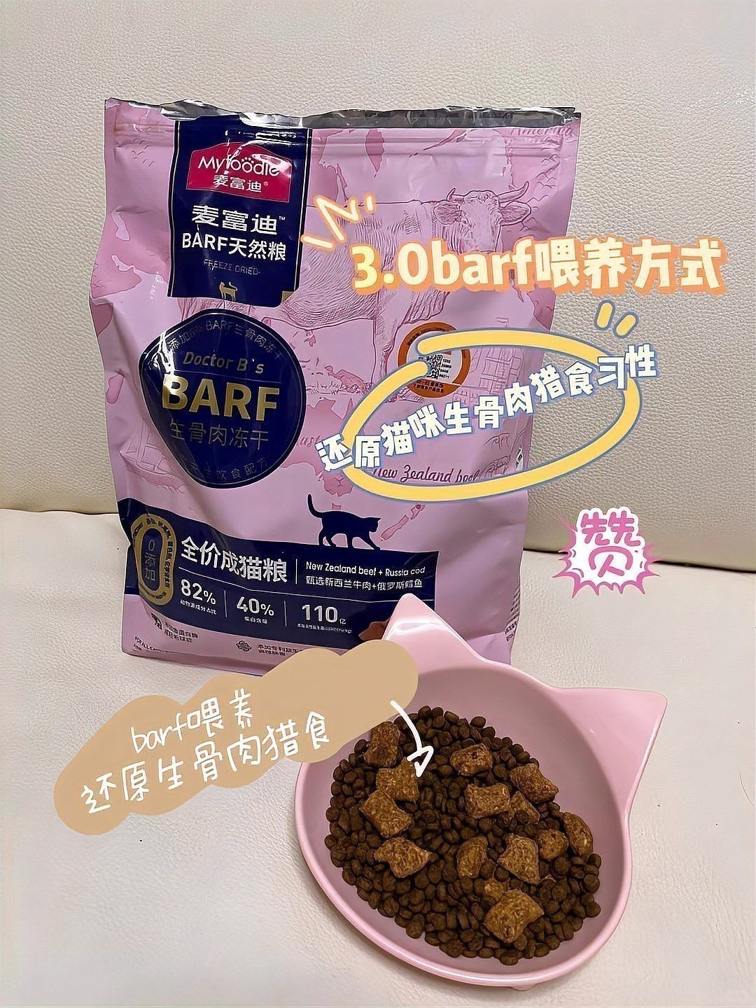 如何訓練龍魚和貓和平共處？