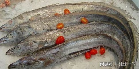 干海龍魚怎么吃最好（干海龍魚干怎么吃效果好海龍魚干怎么吃效果好）