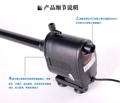 魚缸維護電話（水族店魚缸維護服務提供商評價水族店魚缸維護服務咨詢魚缸維護注意事項清單） 魚缸維護電話（水族店魚缸維護服務提供商評價水族店魚缸維護服務咨詢魚缸維護注意事項清單） 龍魚百科