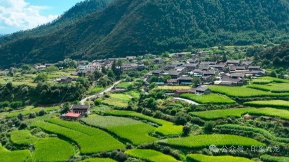 甘孜州騰龍魚養殖基地在哪里呀 甘孜州騰龍魚養殖基地在哪里呀 龍魚百科 第1張