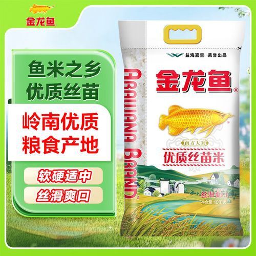 金龍魚絲苗米哪款好吃 金龍魚絲苗米哪款好吃 龍魚百科 第2張