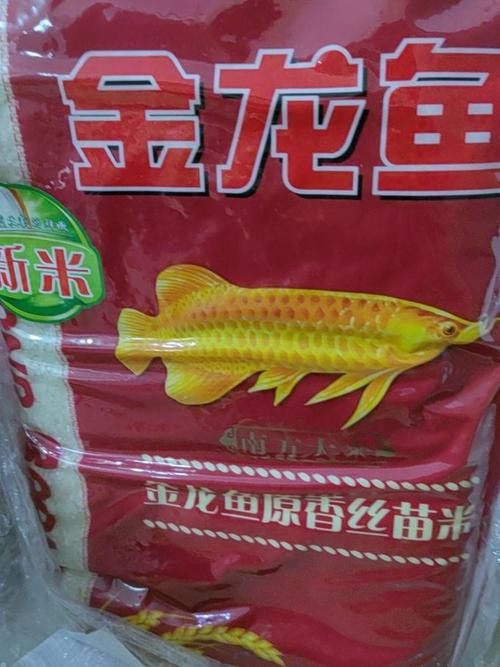 金龍魚絲苗米哪款好吃 金龍魚絲苗米哪款好吃 龍魚百科 第7張