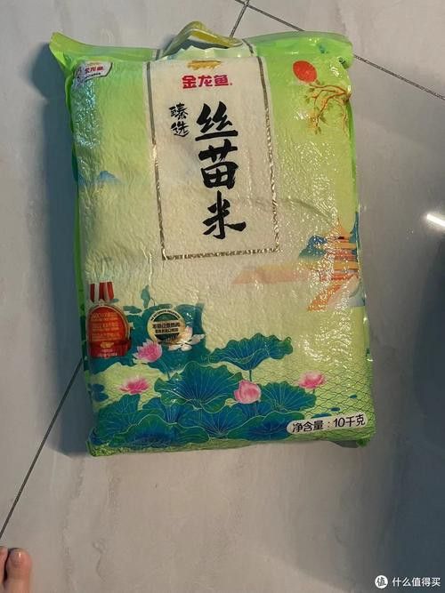 金龍魚絲苗米哪款好吃 金龍魚絲苗米哪款好吃 龍魚百科 第6張