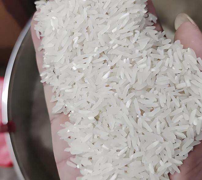 金龍魚絲苗米哪款好吃 金龍魚絲苗米哪款好吃 龍魚百科 第12張