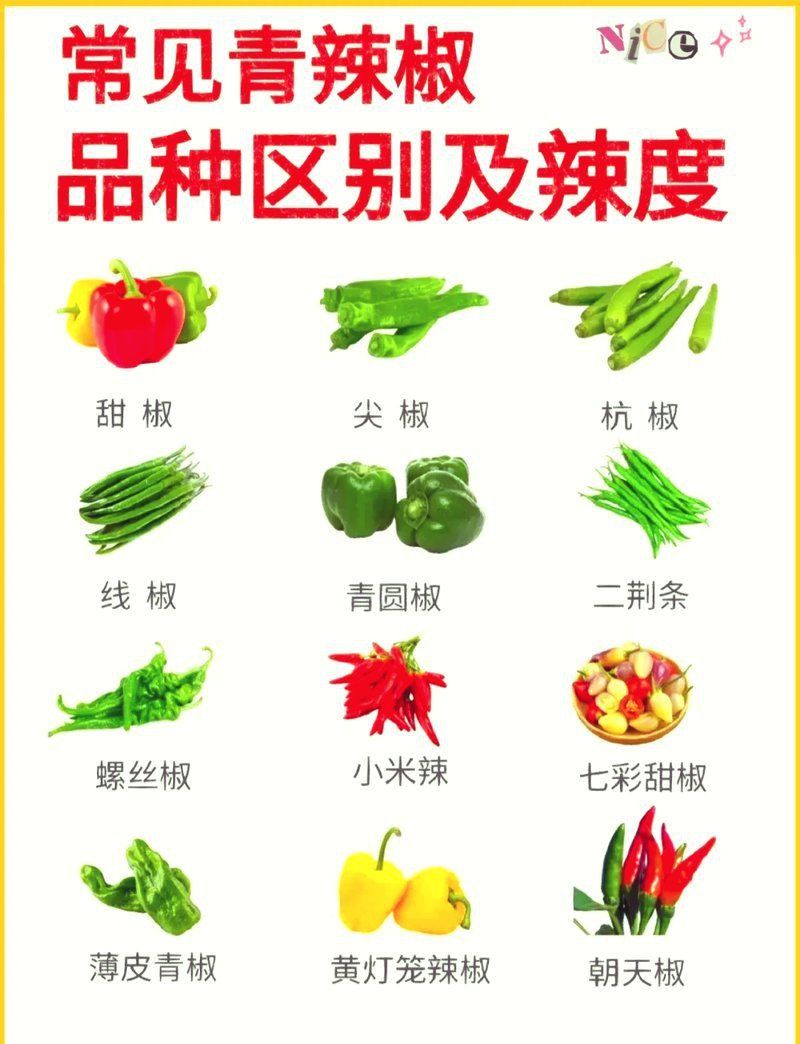 綠皮辣椒最建議買的三個顏色