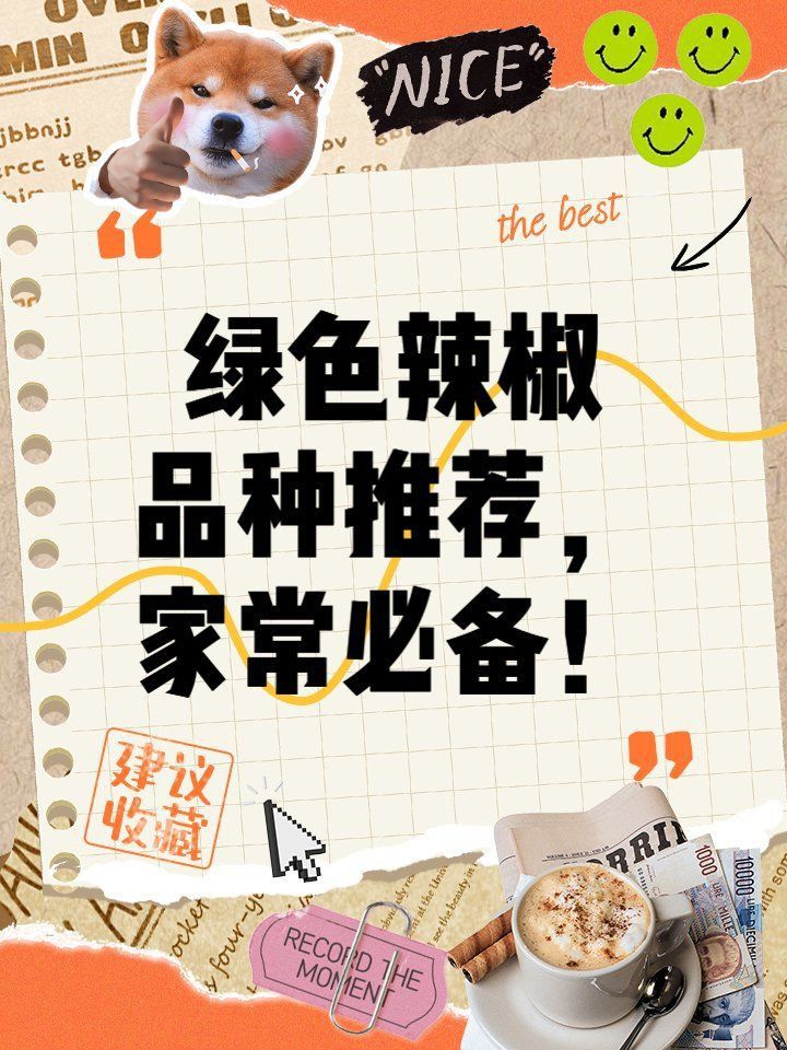 綠皮辣椒最建議買的三個顏色