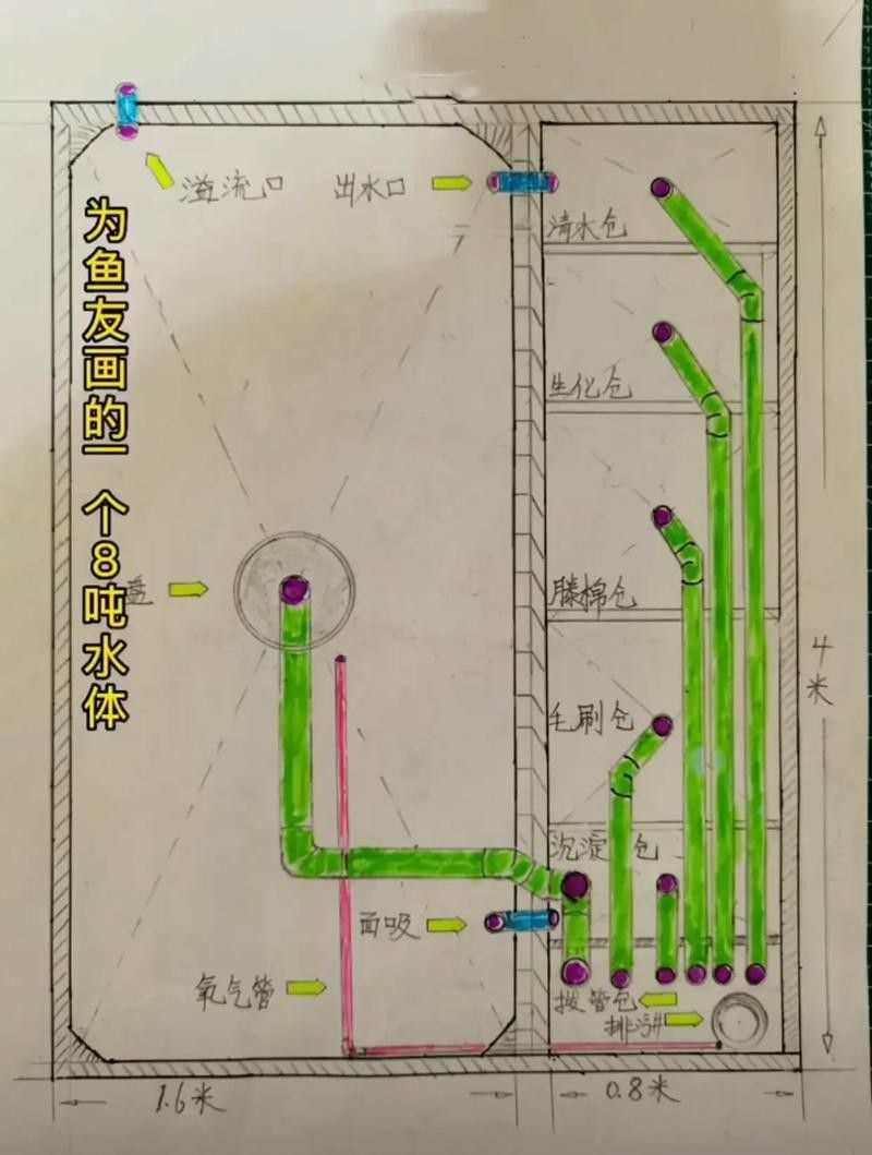 如何預防龍鳳錦鯉常見疾病？ 如何預防龍鳳錦鯉常見疾病？ 龍魚百科 第1張