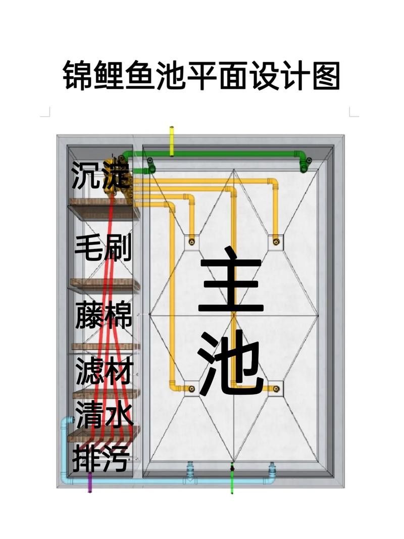 如何預防龍鳳錦鯉常見疾病？ 如何預防龍鳳錦鯉常見疾病？ 龍魚百科 第4張