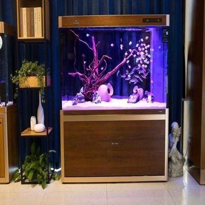 過背金龍魚白底魚缸是否發色更好：過背金龍魚白底魚缸是否發色更好呢？