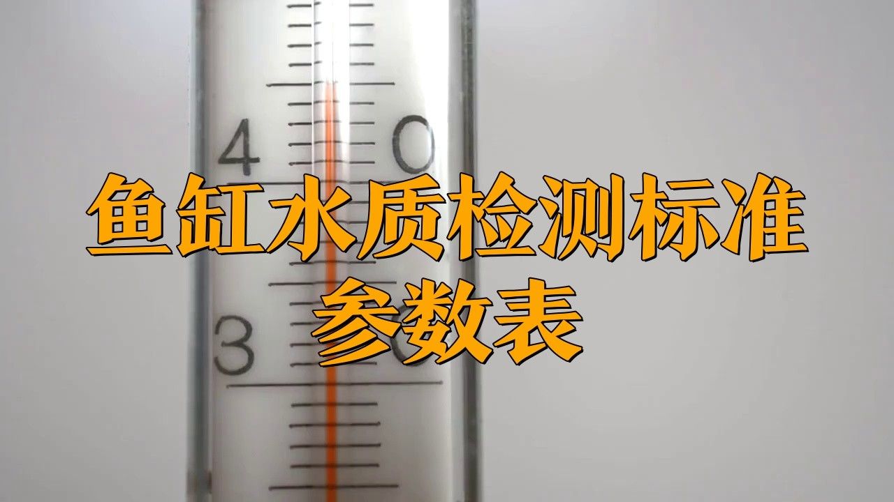 如何檢測水質是否適合補養新魚？ 如何檢測水質是否適合補養新魚？ 龍魚百科 第4張