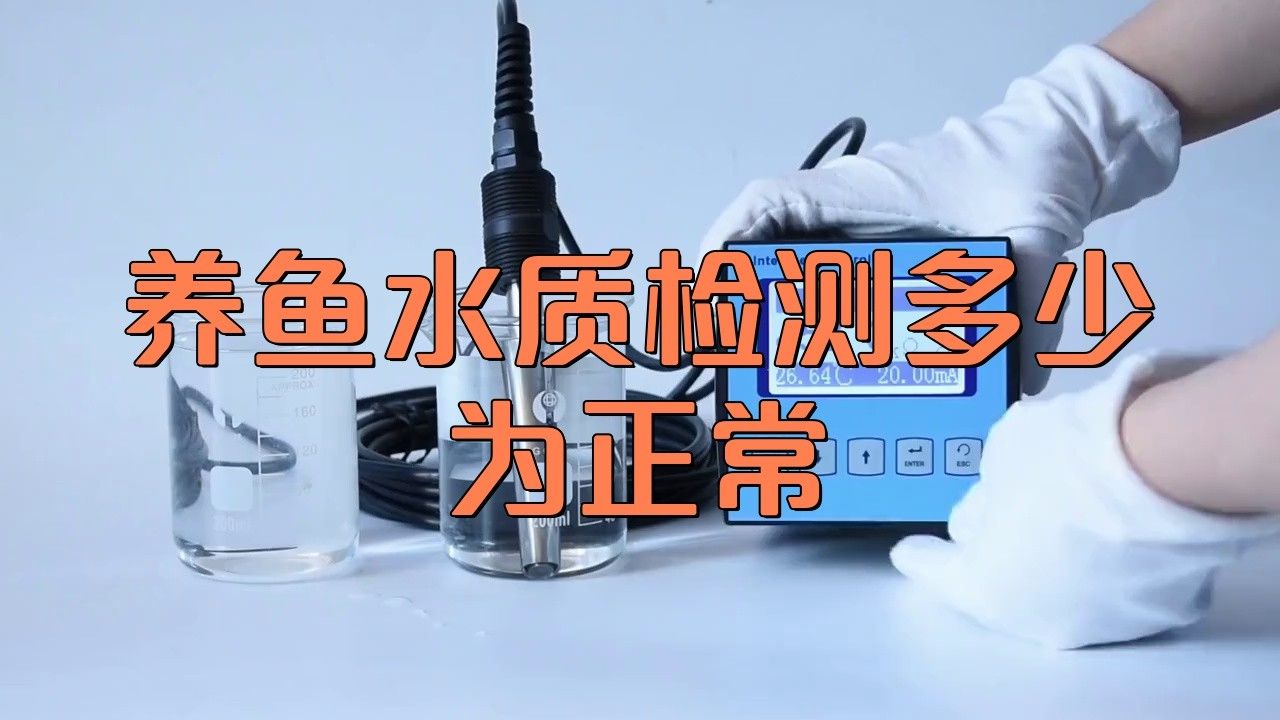 如何檢測水質是否適合補養新魚？ 如何檢測水質是否適合補養新魚？ 龍魚百科 第2張