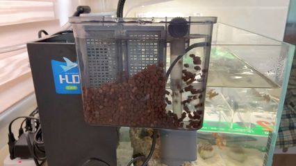 龍魚過濾材料 多久換一次好：龍魚過濾材料多久換一次好 龍魚過濾材料 多久換一次好：龍魚過濾材料多久換一次好 龍魚百科 第1張