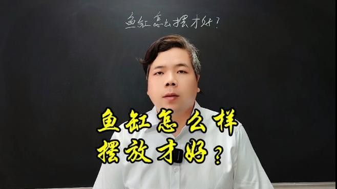 屬龍人養魚的最佳方位在哪里？ 屬龍人養魚的最佳方位在哪里？ 龍魚百科 第5張