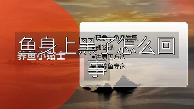 金龍魚顏色變黑怎辦