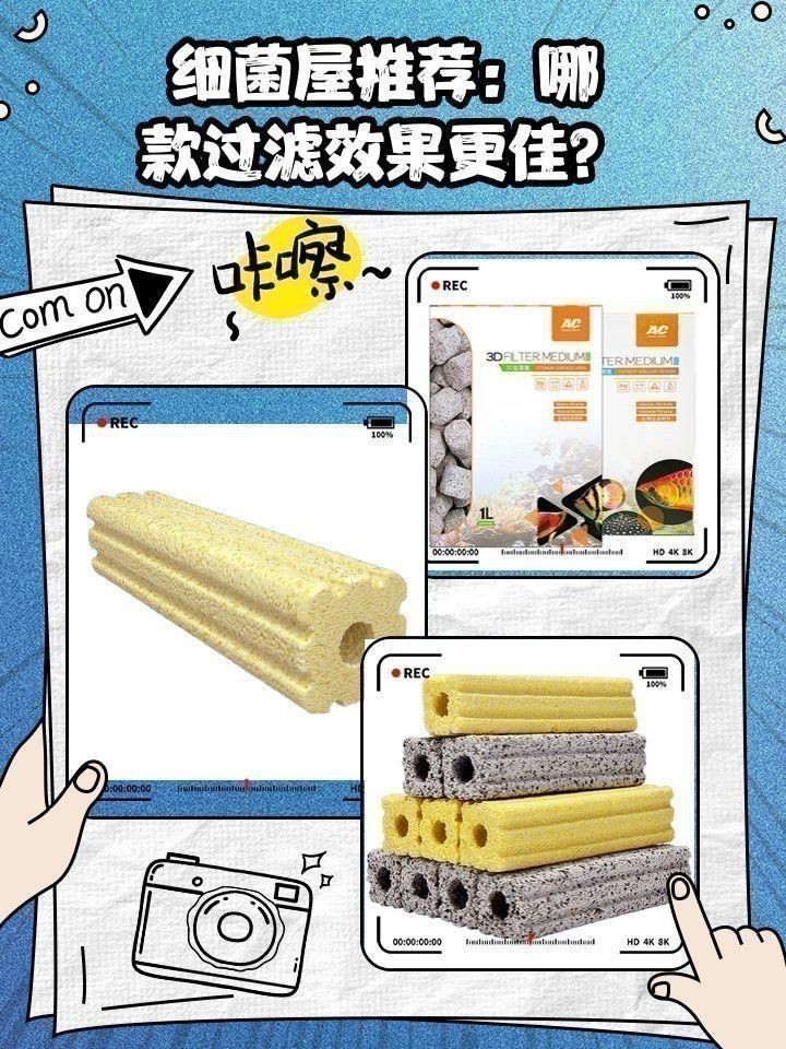 哪些品牌細菌屋性價比最高？ 哪些品牌細菌屋性價比最高？ 龍魚百科 第1張