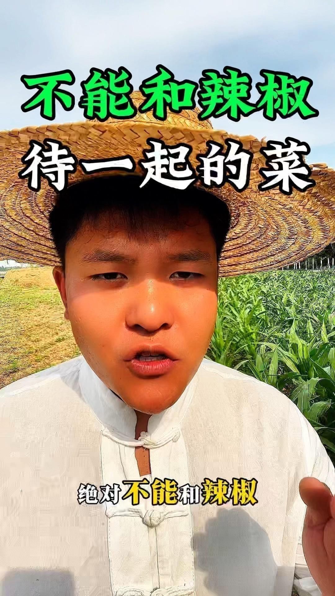 辣椒旁邊不能種什么