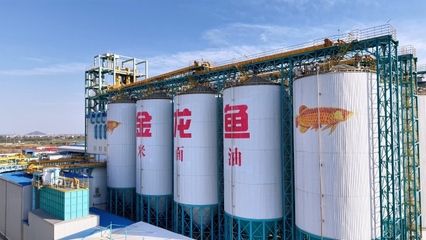 金龍魚有幾個生產基地