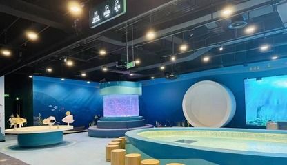 龍魚教育集團：上海小龍魚教育發展有限公司
