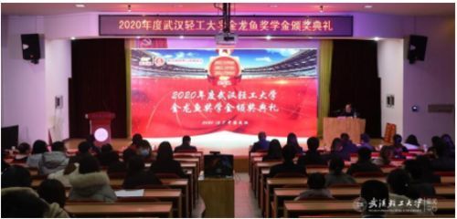 龍魚教育集團：上海小龍魚教育發展有限公司