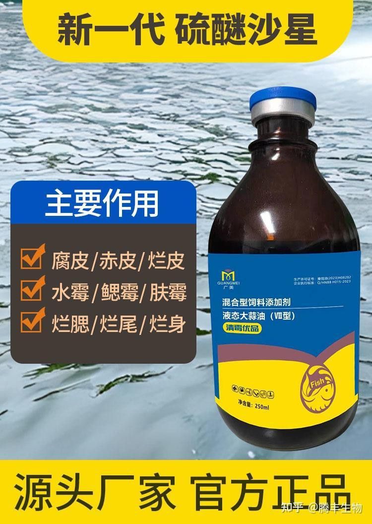 小火龍魚有哪些常見疾病