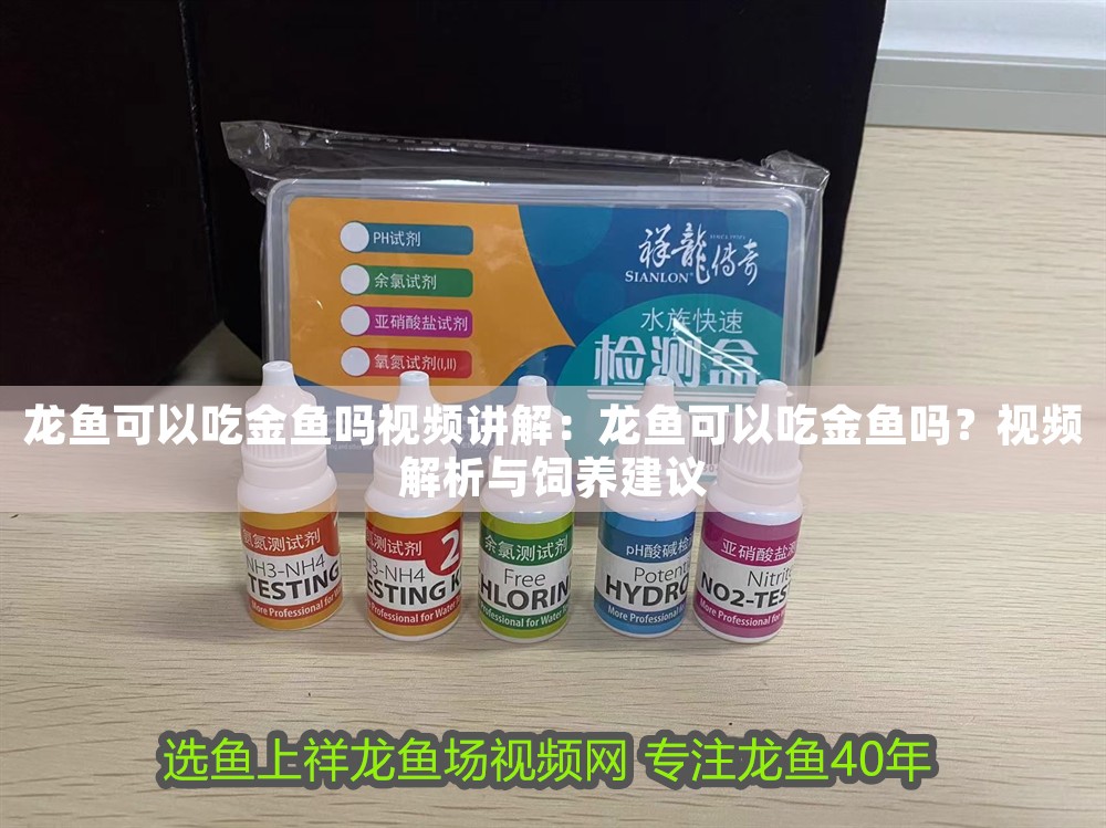 龍魚可以吃金魚嗎視頻講解：龍魚可以吃金魚嗎？視頻解析與飼養建議