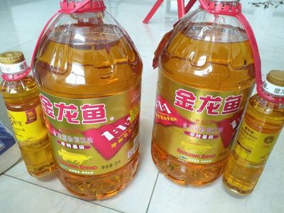 金龍魚可以只吃蝦嗎【金龍魚只吃蝦會對健康有影響嗎？】