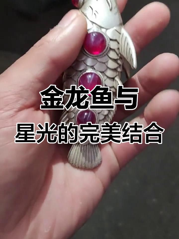 寶石金龍魚的市場需求如何？