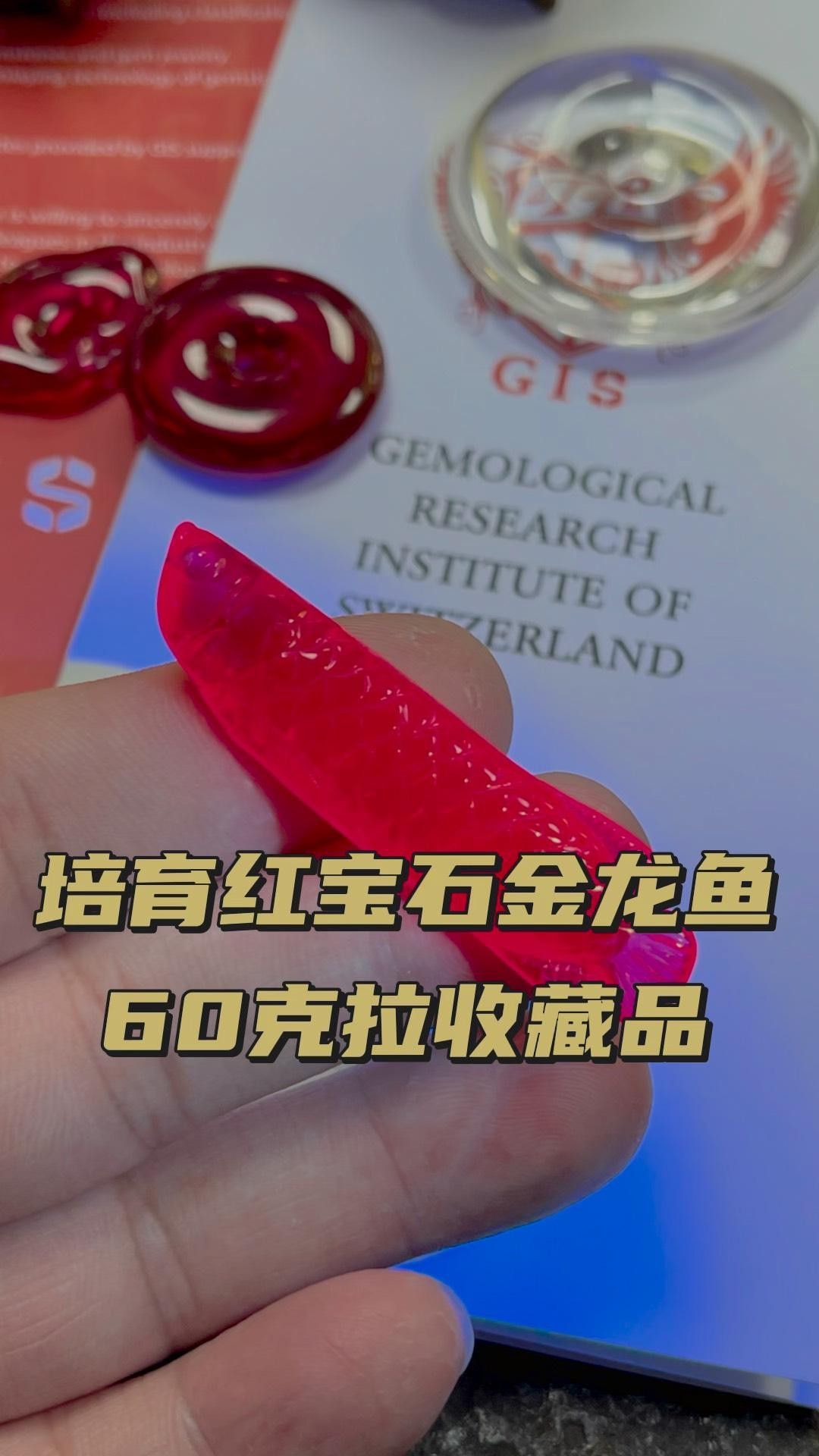 寶石金龍魚的市場需求如何？