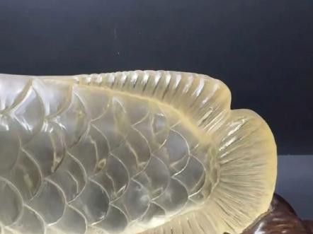 寶石金龍魚的市場需求如何？