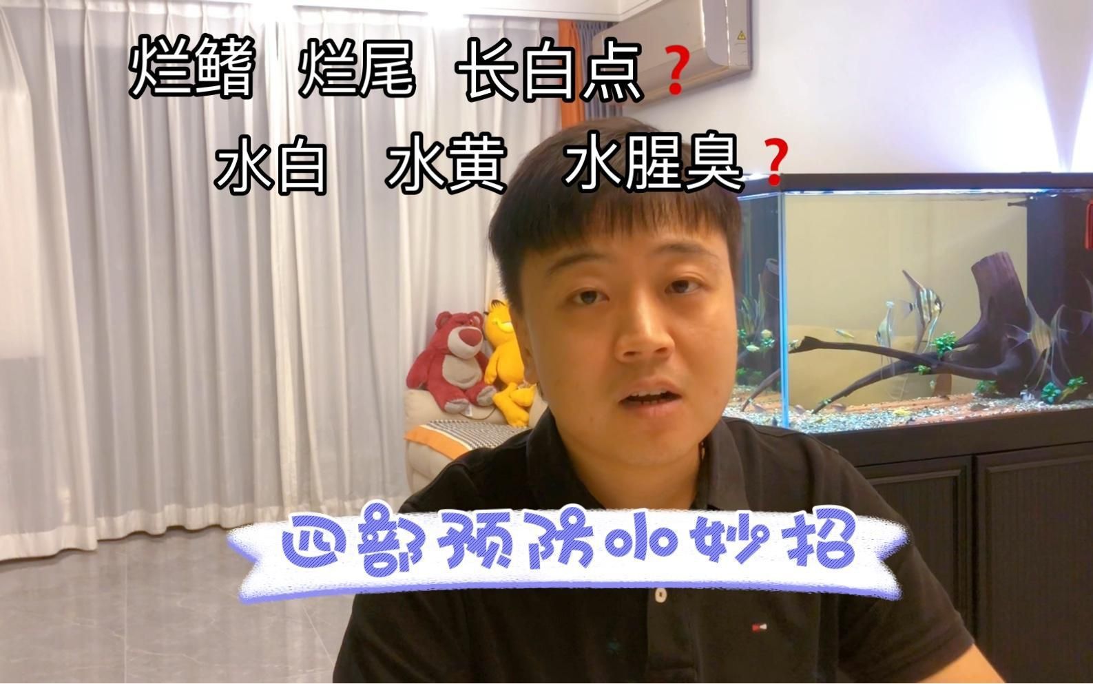 如何預(yù)防魚(yú)類(lèi)爛鰭爛尾? 龍魚(yú)百科 第1張 如何預(yù)防魚(yú)類(lèi)爛鰭爛尾? 如何預(yù)防魚(yú)類(lèi)爛鰭爛尾? 龍魚(yú)百科 第1張