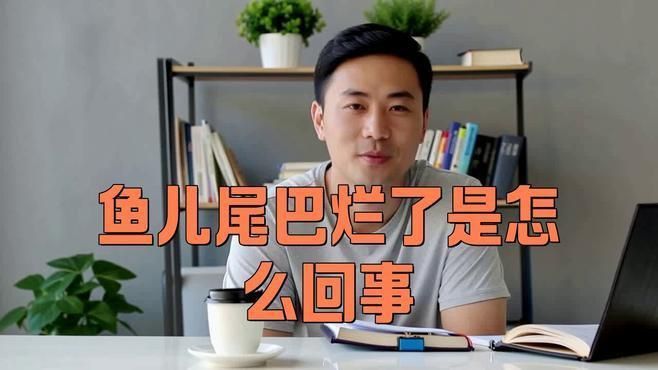如何預(yù)防魚(yú)類(lèi)爛鰭爛尾? 龍魚(yú)百科 第3張 如何預(yù)防魚(yú)類(lèi)爛鰭爛尾? 如何預(yù)防魚(yú)類(lèi)爛鰭爛尾? 龍魚(yú)百科 第3張