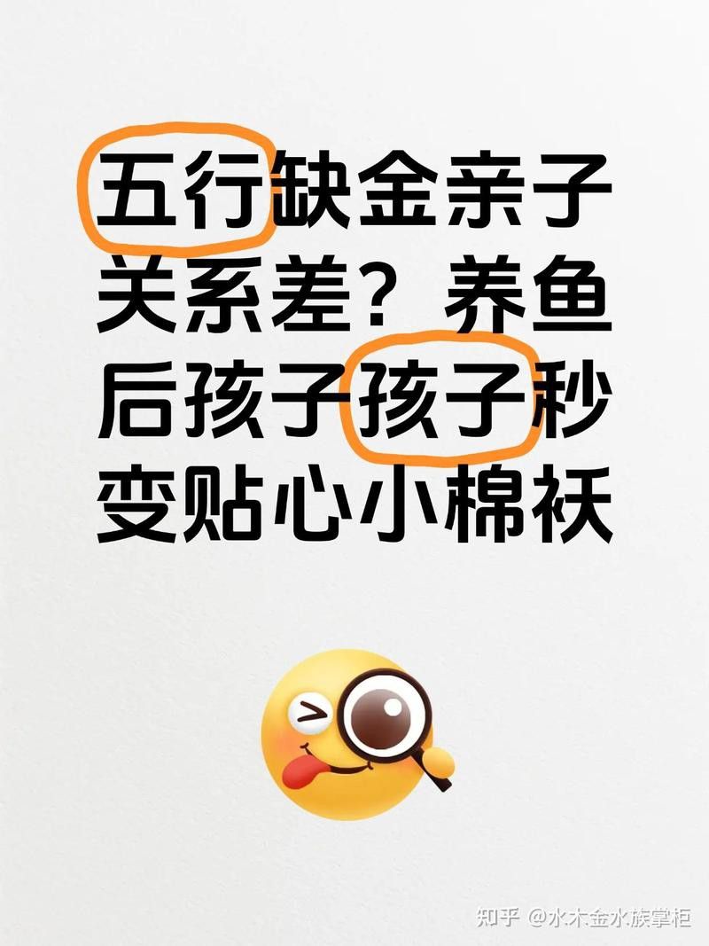 元寶鳳凰配金龍魚好嗎