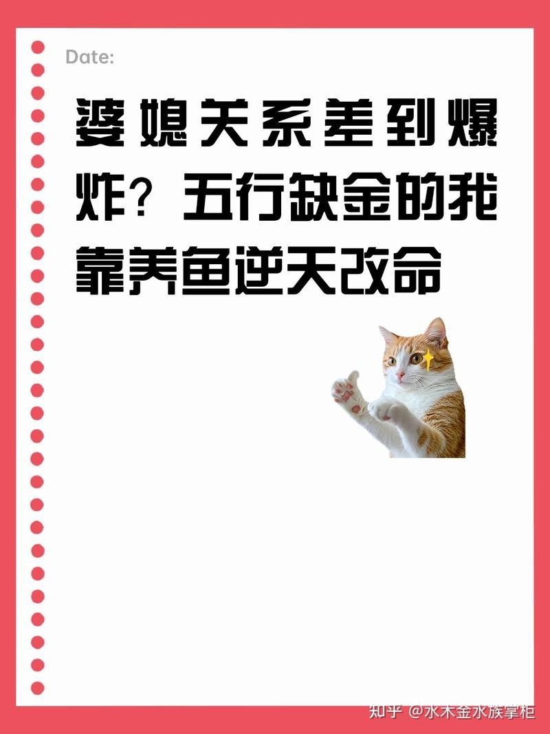 元寶鳳凰配金龍魚好嗎
