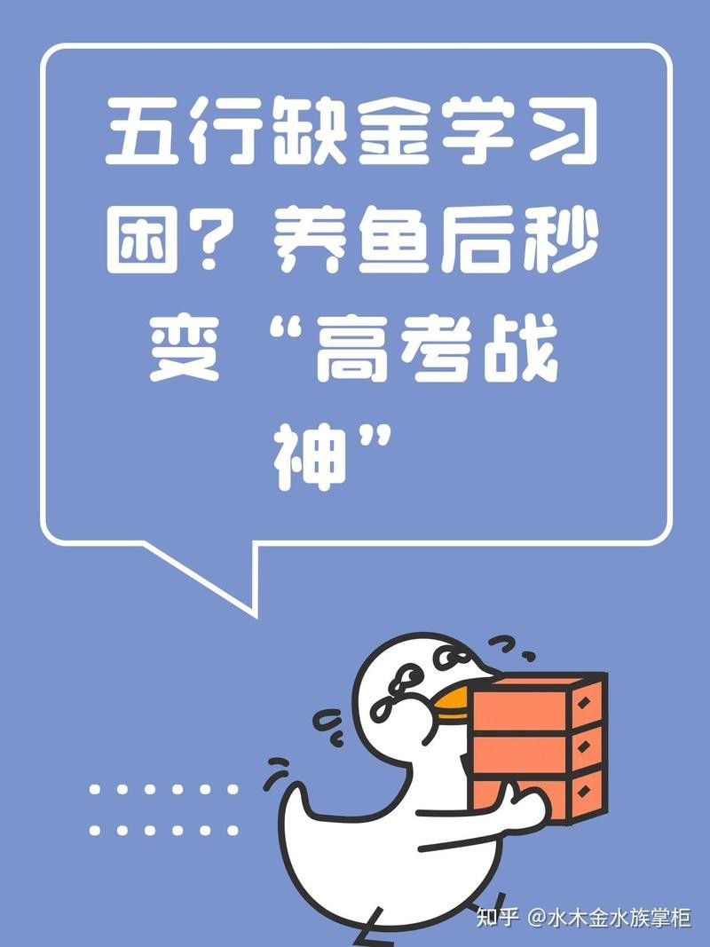 元寶鳳凰配金龍魚好嗎