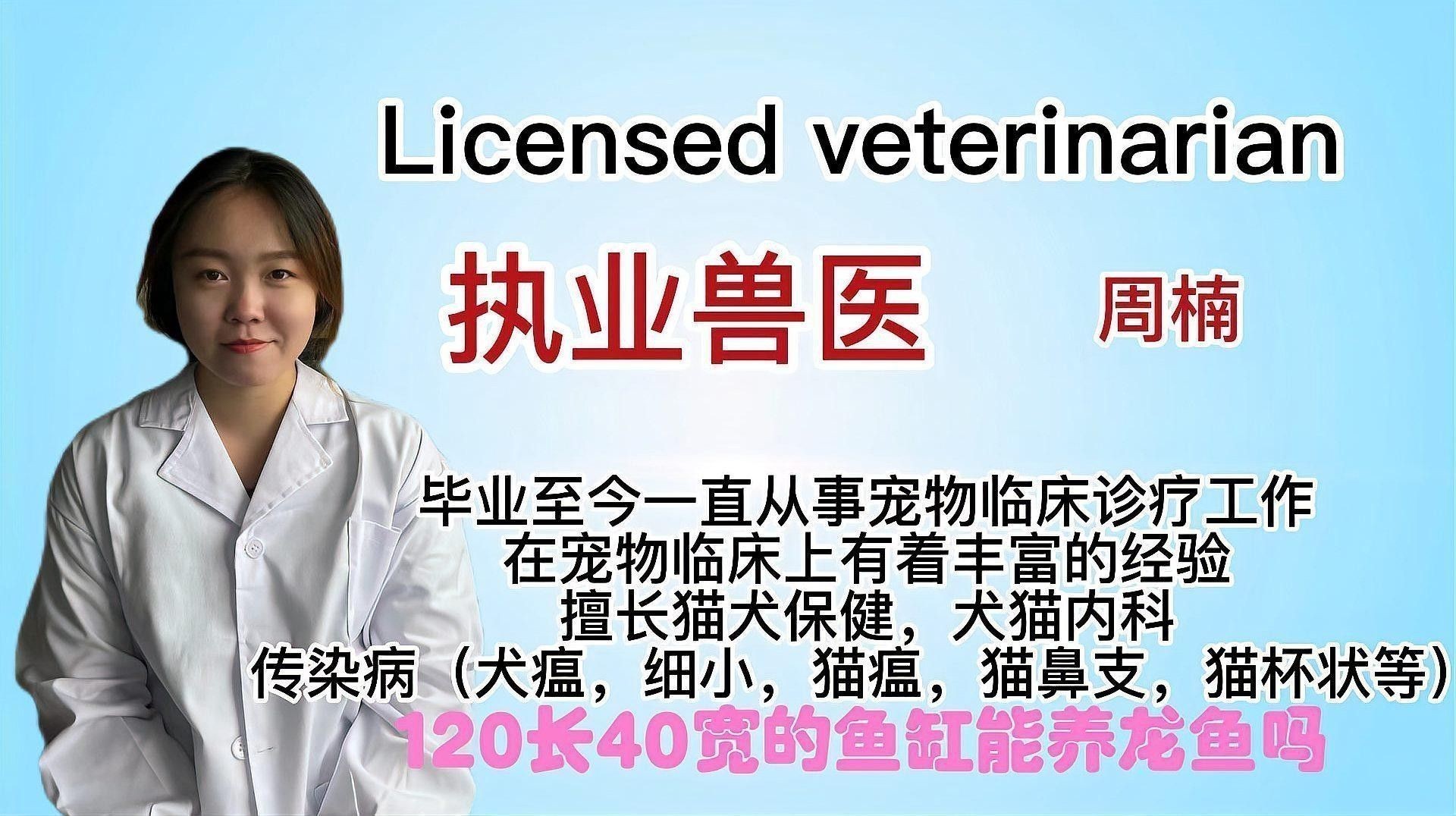 多大的缸可以養龍魚