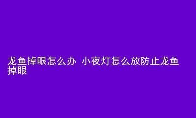 龍魚夜燈放在什么位置：如何選擇龍魚夜燈