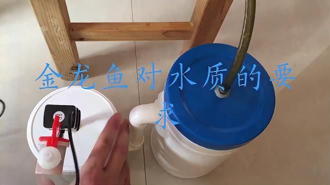 過背金龍爬滿背的最佳飼養環境