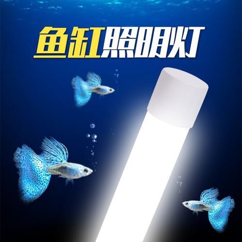 金龍魚專用燈光譜圖