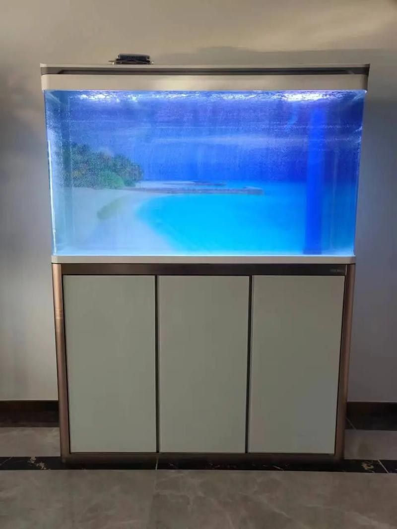 龍魚缸白底黑背效果圖 龍魚缸白底黑背效果圖 龍魚百科 第14張