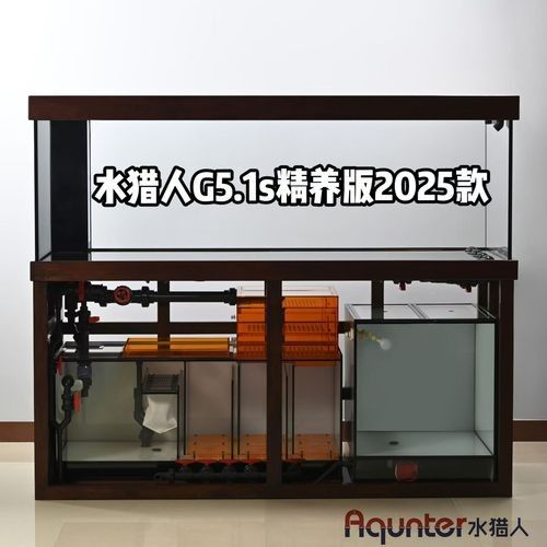 龍魚缸白底黑背效果圖 龍魚缸白底黑背效果圖 龍魚百科 第22張