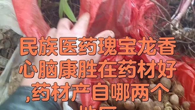 十大紅龍魚品牌排行圖片大全集