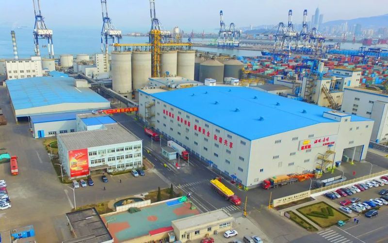 金龍魚煙臺分公司怎么樣