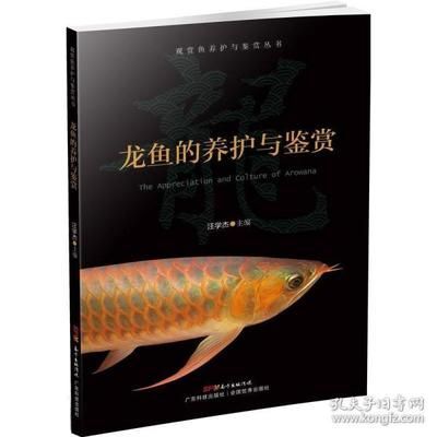養龍魚的技術知識講解：養龍魚技術知識講解