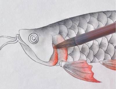 簡單的龍魚怎么畫（怎么畫一條簡單的龍魚）