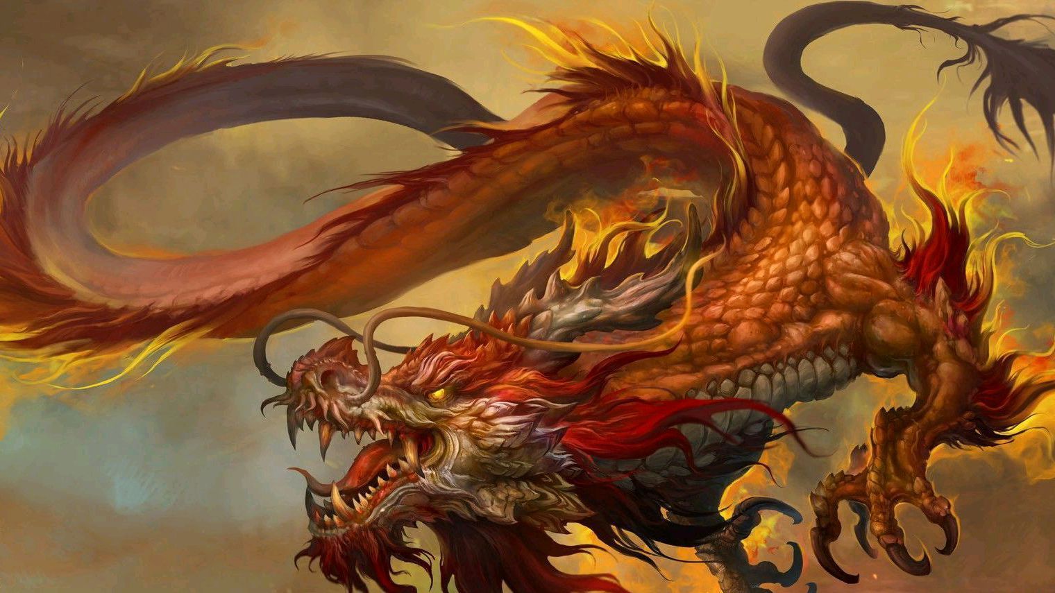 龍魚的配魚四大神獸：四大神獸與龍魚混養注意事項