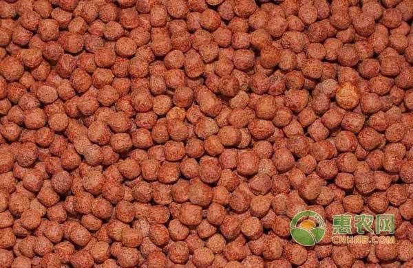 高質量魚飼料選擇指南：高質量的魚飼料選擇指南