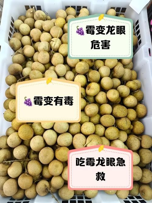 龍眼白霜是否影響口感？