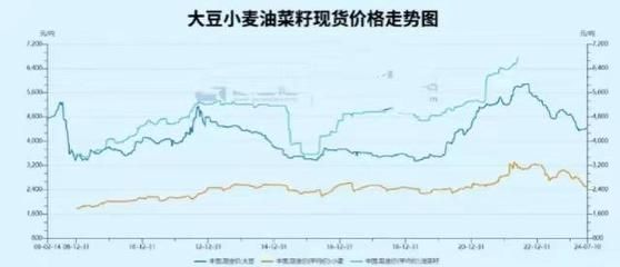 高品質金龍魚價格走勢圖表，金龍魚價格走勢圖表