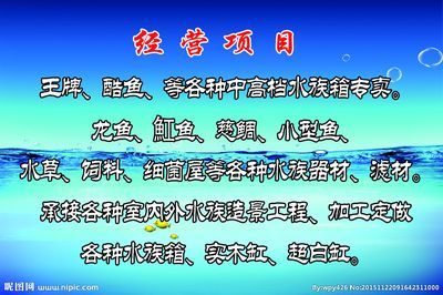龍魚商家微信怎么登錄：龍魚商家如何通過微信登錄龍魚商家微信怎么登錄 龍魚商家微信怎么登錄：龍魚商家如何通過微信登錄龍魚商家微信怎么登錄 龍魚百科 第2張